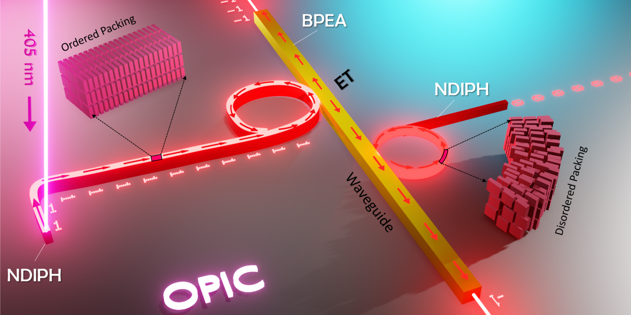 Mechanophotonics: Innovative approach to build reconfigurable organic photonic integrated circuits