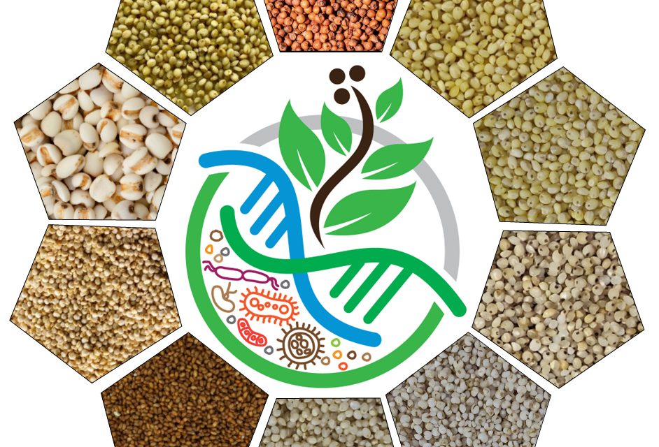 UoH to celebrate International Year of Millets 2023