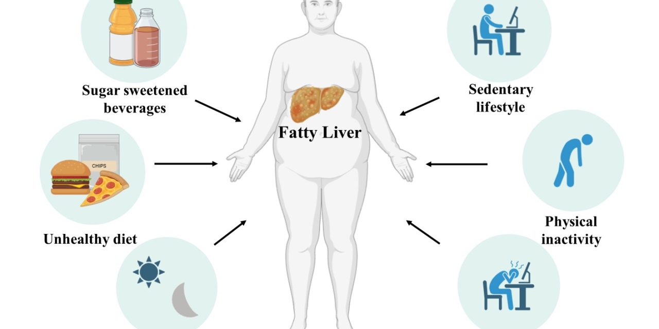 Prolonged sitting, long working hours, shift work and stress among IT employees in India affects Metabolism and Liver Health