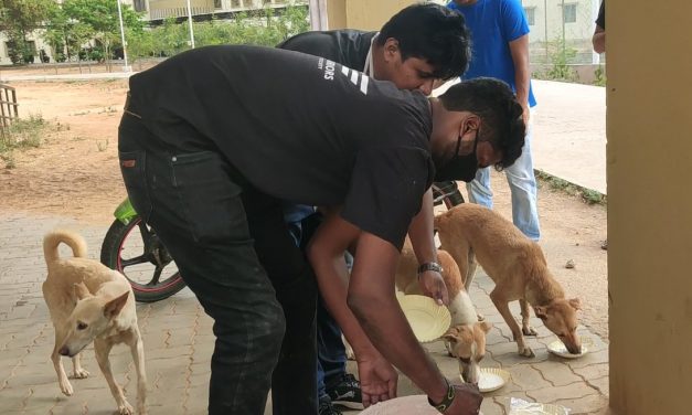 Amidst Covid Lockdown, Students initiate feeding of Wild Animals and Stray Dogs 