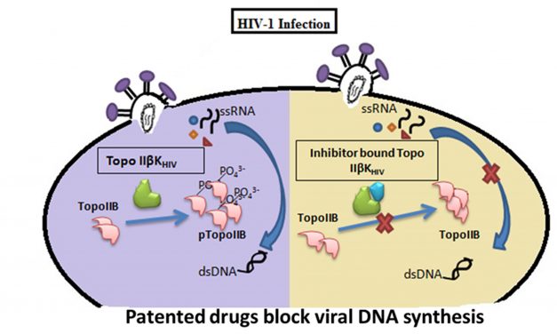 Novel heteroaromatic compounds to target HIV-1 replication