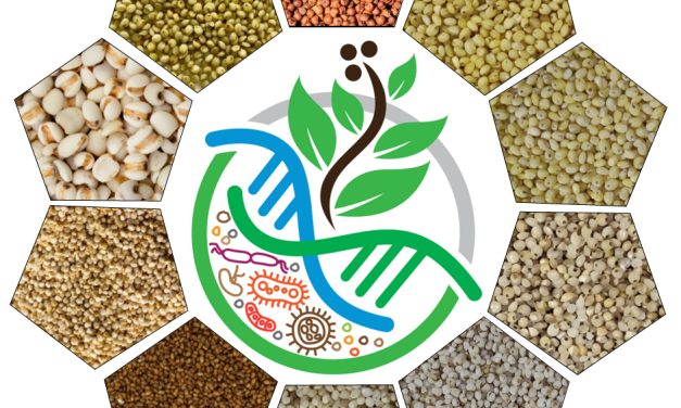 UoH to celebrate International Year of Millets 2023