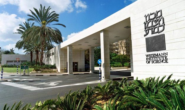 Aditi Kakkad to join Weizmann Institute of Science