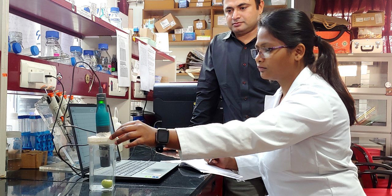 UoH-Delhi University team uncovers a novel mechanism that inhibit tomato fruit ripening by preventing ethylene biosynthesis