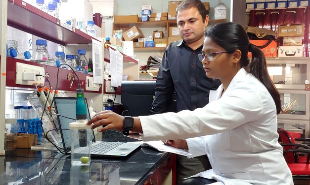 UoH-Delhi University team uncovers a novel mechanism that inhibit tomato fruit ripening by preventing ethylene biosynthesis