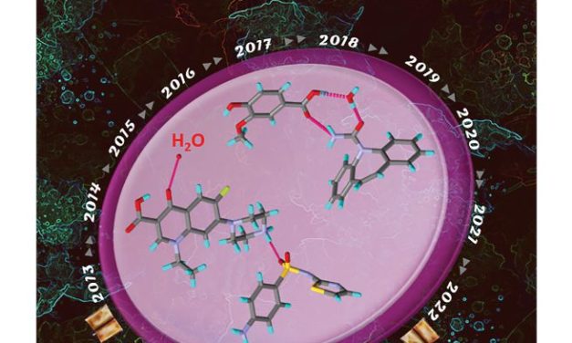 UoH research group propose new models for enhanced drug solubility and permeability
