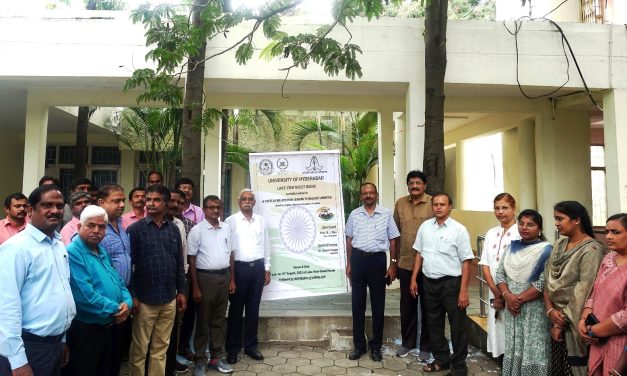 Small but mighty: Discover the power of Millets