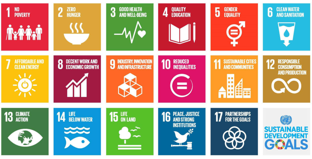 International Conference on Sustainable Development Goals