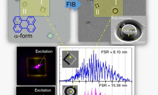 Indian Patent granted on “Molecular Single-Crystal Photonic Micro-Resonators and method of Fabricating thereof”