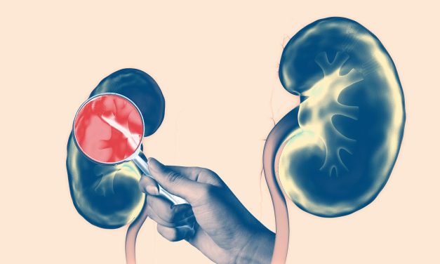 Embryological Events get Re-Activate in Obese Adults and cause Kidney Disease