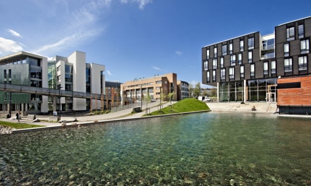 Biochar and the Anthropology of Soil Health in India