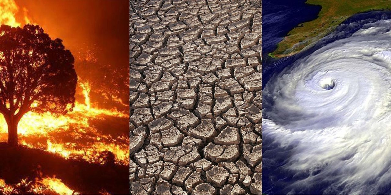 Introducing a New NPTEL Course: The Literature of Climate Crisis