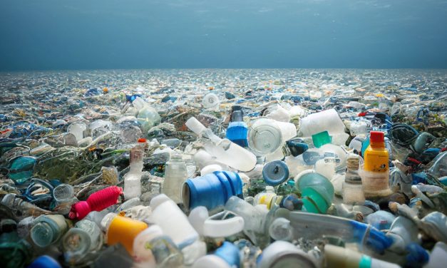 University of Hyderabad joins Groundbreaking International Collaboration to Tackle Single-Use Plastics in Healthcare