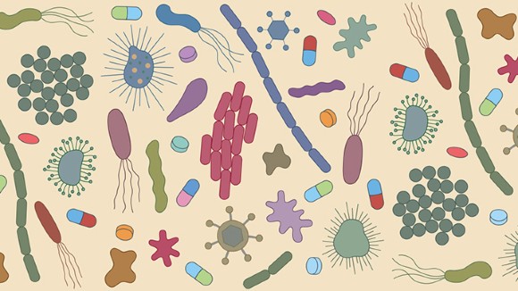 Antimicrobial Resistance: A One-Health Metagenomic Study of Indian Tribal Gut