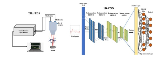 Unlocking Material Secrets: Breakthroughs in Terahertz Time-Domain Spectroscopy