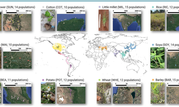 University of Hyderabad Contributes to Landmark Global Study on Wild Crop Relatives and Soil Biodiversity