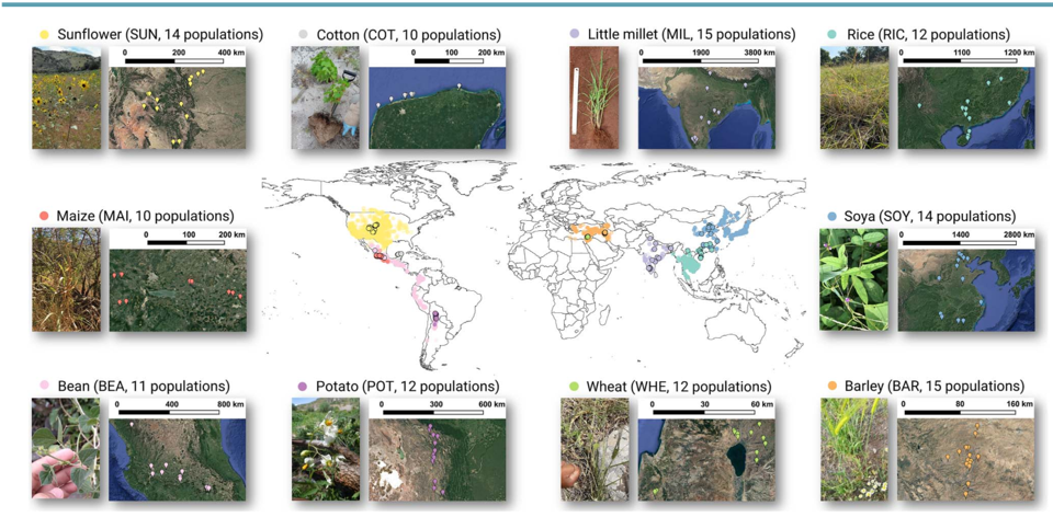 University of Hyderabad Contributes to Landmark Global Study on Wild Crop Relatives and Soil Biodiversity
