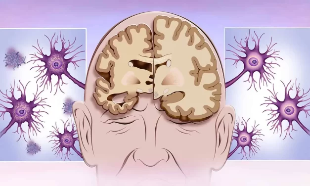 Sleep Disruption Accelerates Brain Aging: Breakthrough Research by Mohammad Sultan Khan
