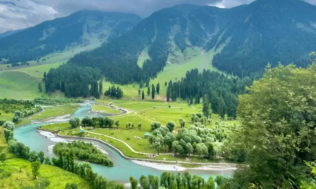 From Research to Policy: Alumnus Aijaz Ahmad Dar appointed as Assistant Director in J&K Government