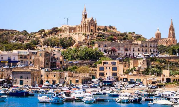 Vishnupriya M presents Paper on Ayurvedic Postnatal Care at International Conference in Malta