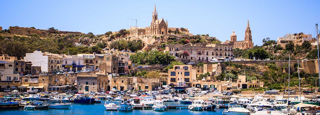 Vishnupriya M presents Paper on Ayurvedic Postnatal Care at International Conference in Malta