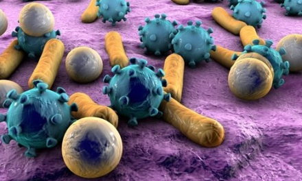 University of Hyderabad Researchers Unveil the Therapeutic Potential of Lactobacillus johnsonii Against Enteric Pathogens