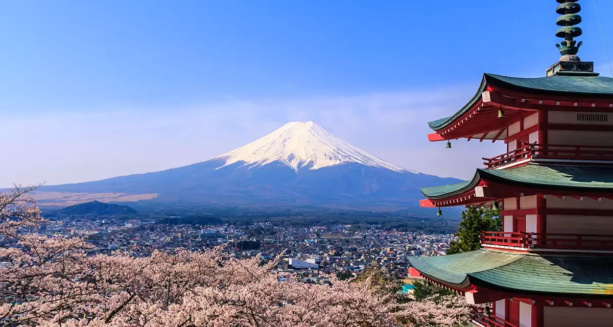 Strengthening Indo-Japan Collaboration: UoH Researchers Awarded Prestigious LOTUS Doctoral and Postdoctoral Fellowships