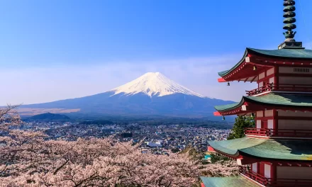 Strengthening Indo-Japan Collaboration: UoH Researchers Awarded Prestigious LOTUS Doctoral and Postdoctoral Fellowships
